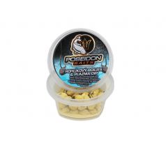 ROHLÍKOVÉ BOILIES 12mm 50g + práškový dip - Med